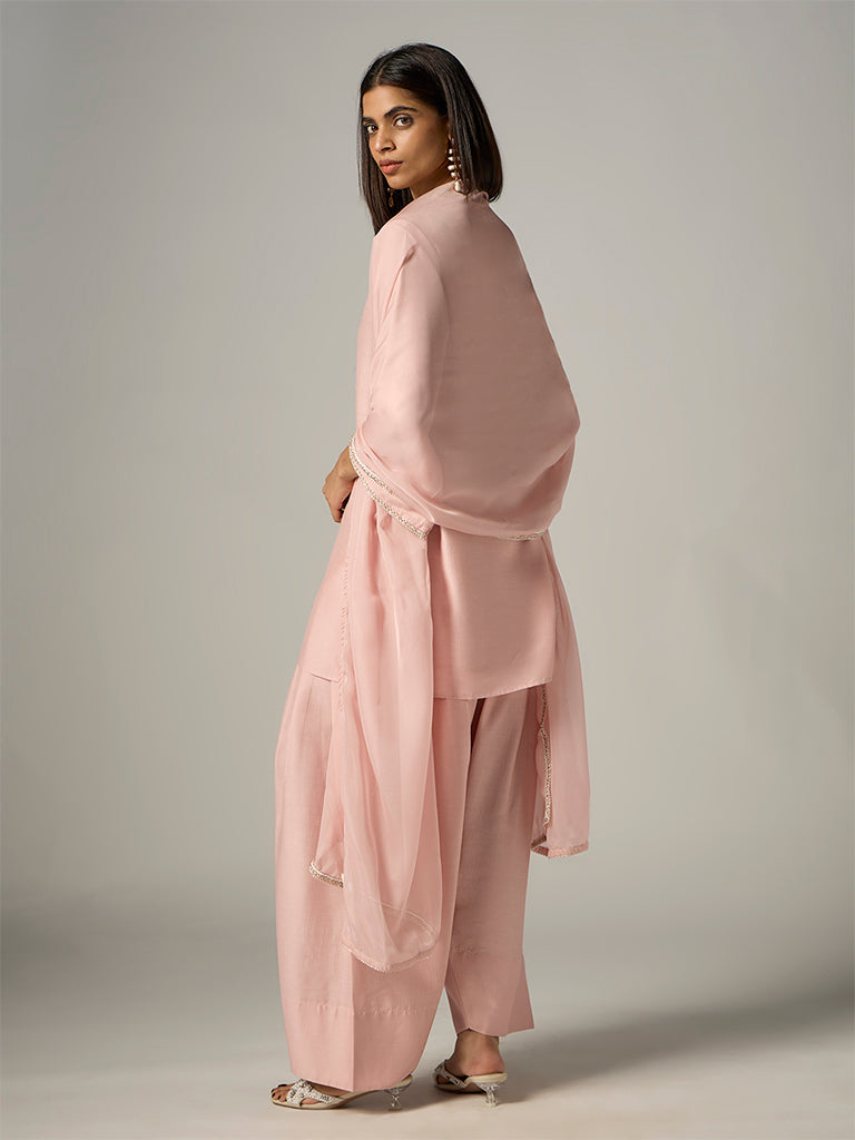 Light Pink Botanical Embroidered Straight Ethnic Set — image 4